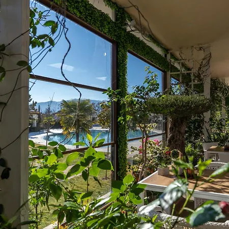 Hotel Paradise 3*